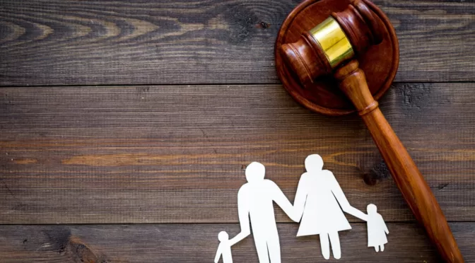 Family Law Mastery: Expertise in Domestic Legal Matters